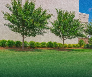 Commercial Landscaping